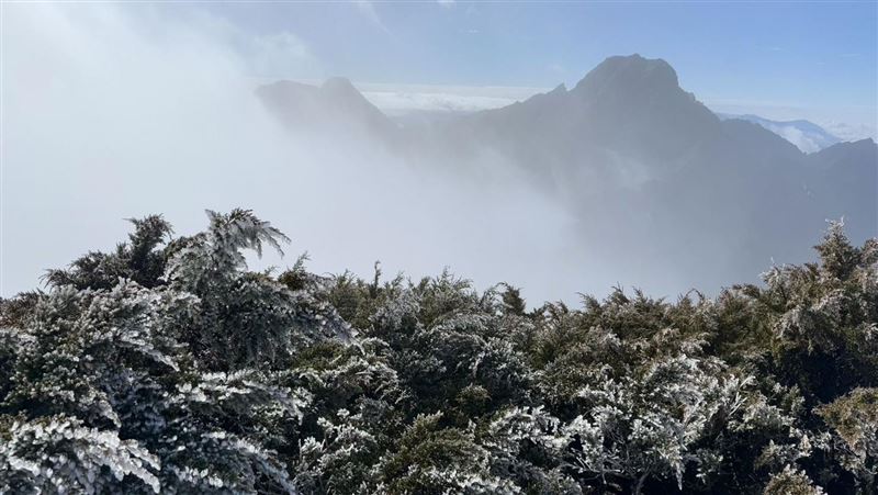 玉山今晨-1.6度　「霧淞美景」再現