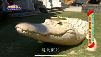 ▲白鱷魚神神像。（圖/寶島神很大YouTube）