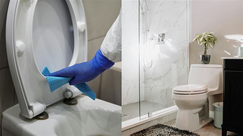 馬桶坐墊不能用衛生紙擦！正確清潔方式曝