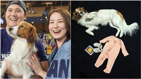 ▲大谷翔平分享即將有小孩加入家庭。（組合圖／翻攝自大谷翔平IG）