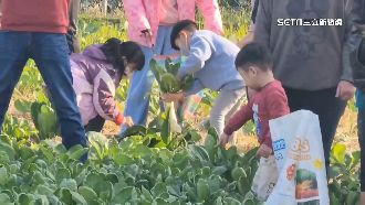 免費拔蘿蔔「過重需樂捐」　民眾溜走惹議