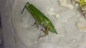 沙拉,蚱蜢,好市多(翻攝自 爆廢公社)