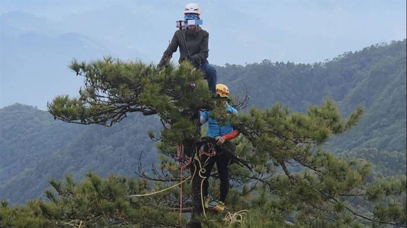 登鳶嘴山峭壁「爬樹」拍照　山友傻眼狂譙