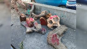 v假狩山老鼠1200