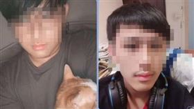 虐貓,台中,動保法,亂棒,打死（圖／翻攝臉書貓咪也瘋狂俱樂部）