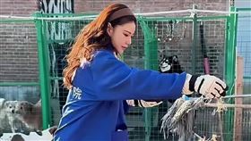 馬筱梅被狗咬傷。（圖／翻攝自微博）