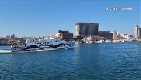 海豚游進澎湖馬公港 嬉戲躍出海面民眾爭睹