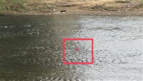 基隆市七堵區基隆河流域，今天（31日）下午有民眾發現河面上疑似有人體漂流物，警消人員到場後，發現一名身穿紅色上衣的女子卡在河道中，搜救人員下水查看，發現紅衣女子已明顯死亡。