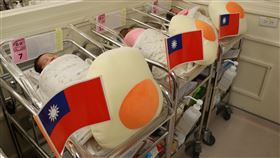 元旦寶寶  台中茂盛醫院提供