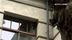 張惠妹大巨蛋嗨唱震裂松菸牆面　文化局：將現場會勘