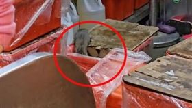 一中街臭豆腐，金牌巨無霸臭豆腐 ，驚見米奇、老鼠吃新年大餐 網：食慾都沒了(圖／翻攝自爆廢公社)