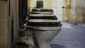 浴室,黴菌(圖/pixabay)