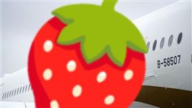 募資大贏家！104億奪冠　這家航空公司被看好