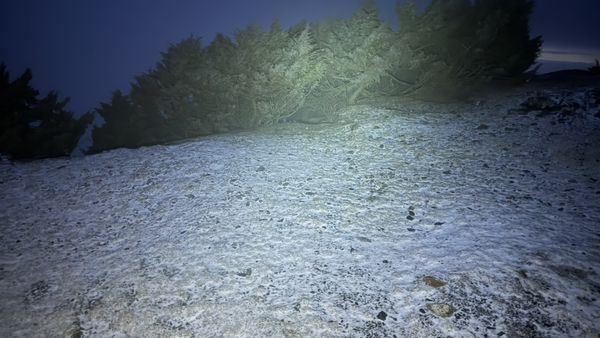 玉山降下2025第一場雪！今晨積雪0.5公分