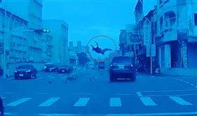 騎士闖紅燈撞上休旅車，整個人彈飛1樓高墜地。（圖／翻攝自嘉義綠豆大小事）