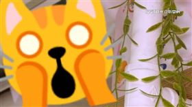 家電調漲
（圖／三立電視台提供）