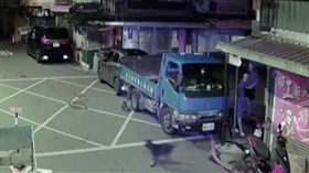 犬隻見浪貓經過，上前追趕、咬死浪貓。（動保處提供）
