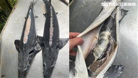 鱘龍魚,魚子醬（圖／讀者提供授權）