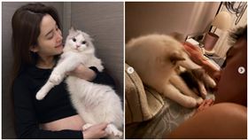 張書豪、歐陽妮妮。（圖／翻攝自IG）