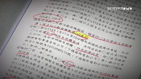 A智堯打臉柯1800