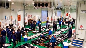 日本豐洲市場的黑鮪魚拍賣有開放給遊客觀賞。