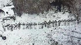 至少有20具北韓大兵遺體，被丟棄在冰天雪地中。（翻自《每日郵報》）