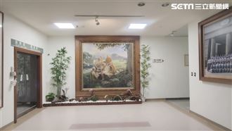 酸慈濟承認偷畫盜圖！她點2作品:原創是誰