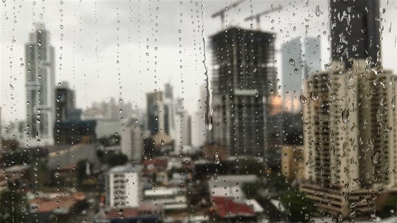 金龍風暴：政府打擊房市的深遠影響與挑戰