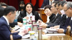 立院財委會審查中央政府總預算案（1）立法院財政委員會6日審查114年度中央政府總預算案，關於財政部主管台灣土地銀行股份有限公司、財政部印刷廠、台灣菸酒股份有限公司部分，會議由國民黨立委陳玉珍（中）主持，相關單位首長列席討論。中央社記者王騰毅攝  114年1月6日