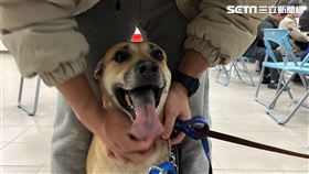 住戶帶著可愛毛孩疏散。（圖／記者黃翎瑄攝）