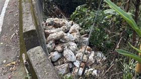 台中3男偷丟大批垃圾！當場被抓包下場慘