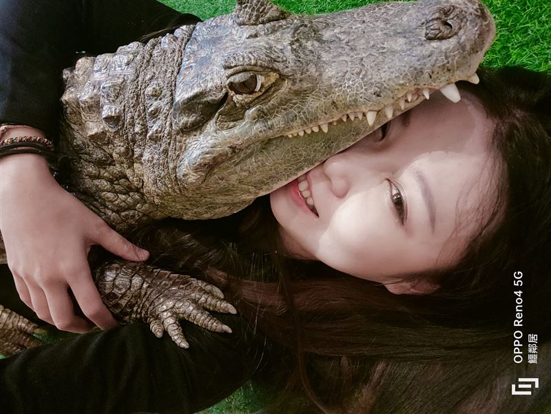 農業部研擬新增「955種動物列入禁養」包括：旱獺、黑尾土撥鼠、浣熊、狐狸、鱷龜、狐蒙、袋鼠等，人氣較高的動物都將被禁止，引起飼主反彈，其中飼養七隻鱷魚以及土撥鼠的網紅「沙西米」也發長文痛批。（圖／鱷鄰居&amp;沙西米）