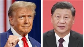 川普、習近平、賀錦麗(組合圖)