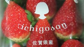 日韓5批草莓農藥違規。圖為盛裕貿易自佐賀進口的草莓不合格。（圖／食藥署提供）
