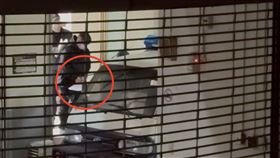 邱軍,肇逃,收押,基隆（圖／翻攝畫面）