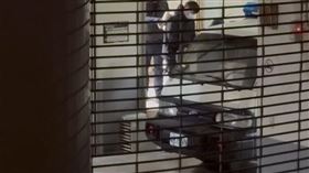 邱軍昨晚約11點多上靠被送上囚車