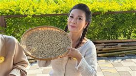 楊繡惠體驗當黃豆職人。（圖／民視提供）