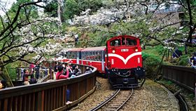 阿里山小火車
（圖／嘉義分署提供）