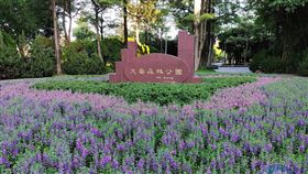 建商二代欠稅2億　安森旁土地驚人單價曝