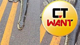 巨蟒遭輾爆　「腹中40條小蛇」屍體噴路上