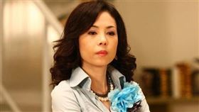 江淑娜消失多年。（圖／翻攝自臉書）