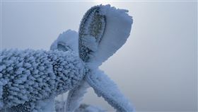 0106玉山下雪
（圖／氣象署）