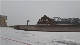 合歡山下雪　圖／林業署南投分署提供