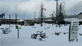 日本青森縣大雪肆虐，多輛腳踏車被埋在雪裡。（圖／翻攝自X@YutaNakatani）