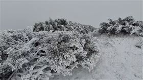 玉山7:20開始下雪，降雪時間達45分鐘。（圖／氣象署提供）