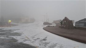 合歡山下雪　圖／林業署南投分署提供