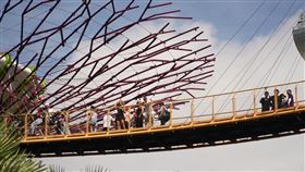 2024年新加坡高溫續寫紀錄根據新加坡氣象署，2024年新加坡全年平均氣溫為攝氏28.4度，是新加坡有紀錄以來最熱一年，與2019和2016年相當。圖為遊客於2025年1月1日走訪新加坡知名景點濱海灣花園。中央社記者吳昇鴻新加坡攝  114年1月10日