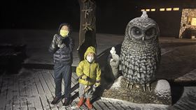 冷氣團發威 宜蘭太平山降冰霰受強烈大陸冷氣團影響，海拔約1900公尺、位在太平山國家森林遊樂區內的太平山莊11日凌晨3時起降冰霰，山莊廣場的貓頭鷹雕像與地板宛如被撒下雪白糖霜。（農業部林業及自然保育署宜蘭分署提供）中央社記者沈如峰宜蘭縣傳真 114年1月11日