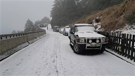 合歡山,下雪,積雪（圖／林保署南投分署提供）