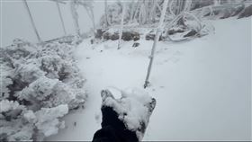玉山北峰今早畫面，植被、氣象站儀器都被冰雪覆蓋。（圖／氣象署提供）